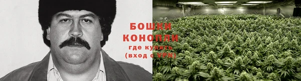 кокаин премиум Новозыбков