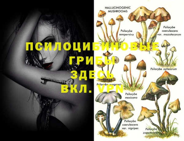 кокаин премиум Новокубанск
