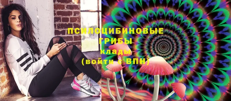 Галлюциногенные грибы Magic Shrooms  ссылка на мегу ТОР  Агидель 